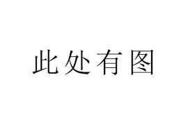 沛县企业清欠服务